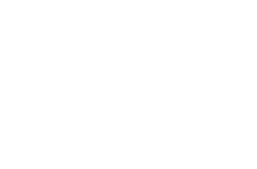 Aurora Forte Club